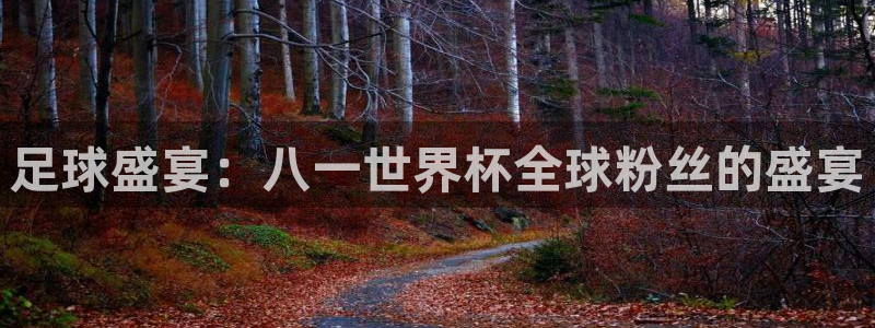 世界杯欧洲区世预赛赛程：足球盛宴：八一世界杯全球粉丝的盛宴