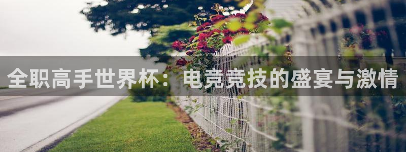 2026世界杯小组赛赛程时间表：全职高手世界杯：电竞竞技的盛宴与激情