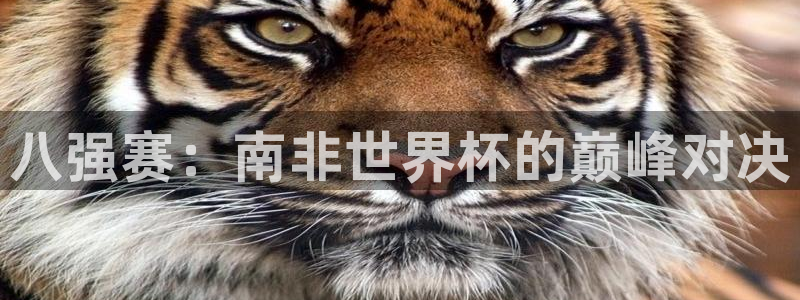 世界杯时间：八强赛：南非世界杯的巅峰对决