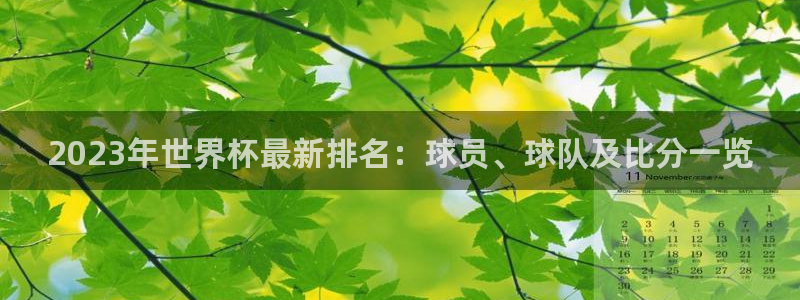 2026世界杯亚洲预选赛赛程：2023年世界杯最新排名：球员、球队及比分一览