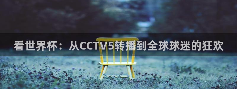 世界杯预选赛赛程：看世界杯：从CCTV5转播到全球球迷的狂欢