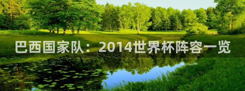 2026世界杯买球：巴西国家队：2014世界杯阵容一览