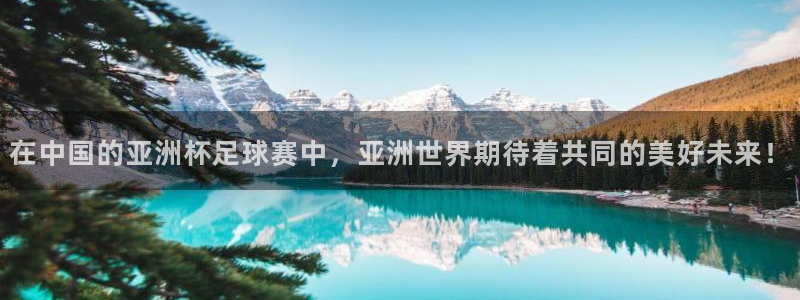 2026葡萄牙杯赛程表：在中国的亚洲杯足球赛中，亚洲世界期待着共同的美好未来！