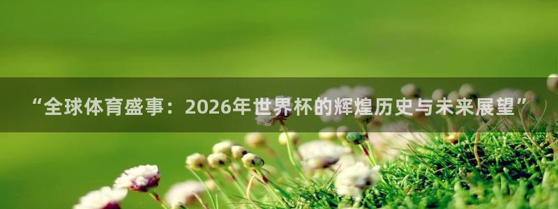 世界杯直播：“全球体育盛事：2026年世界杯的辉煌历史与未来展望”