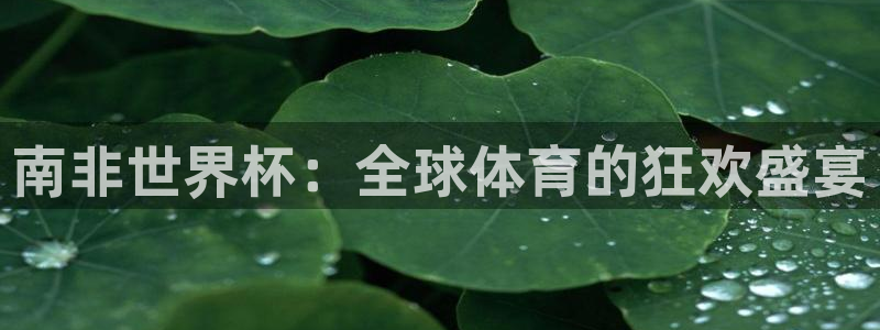 世预赛直播：南非世界杯：全球体育的狂欢盛宴