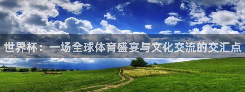 预选赛世界杯：世界杯：一场全球体育盛宴与文化交流的交汇点