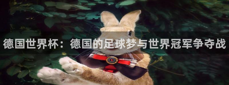 世界杯系列赛：德国世界杯：德国的足球梦与世界冠军争夺战